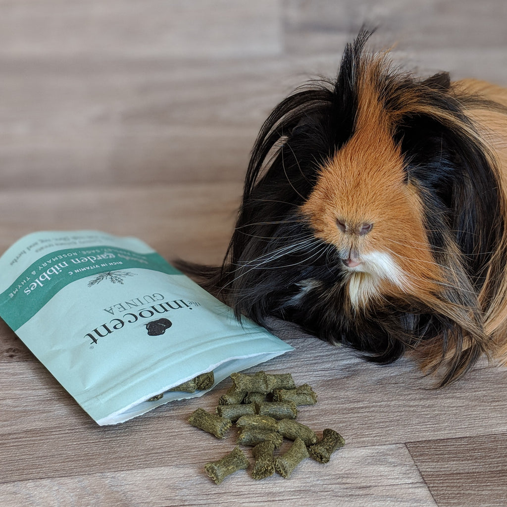 PRODUCT REVIEW - THE INNOCENT PET CO. GUINEA PIG TREATS