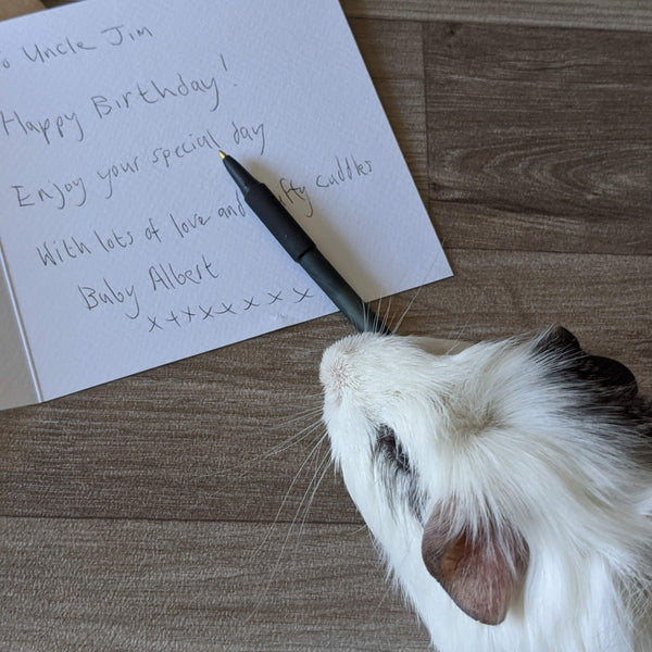 Guinea Pig Birthday Card (Red Flowers)