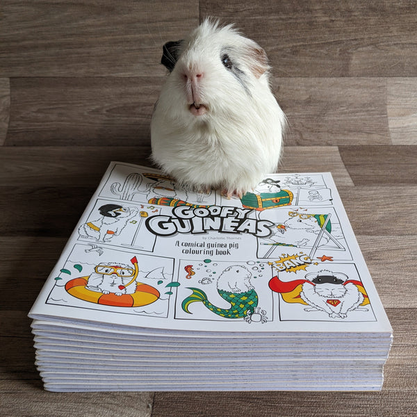 Guinea Pig Colouring Book