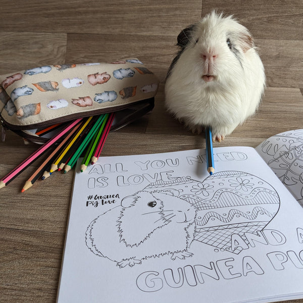 Guinea Pig Colouring Book