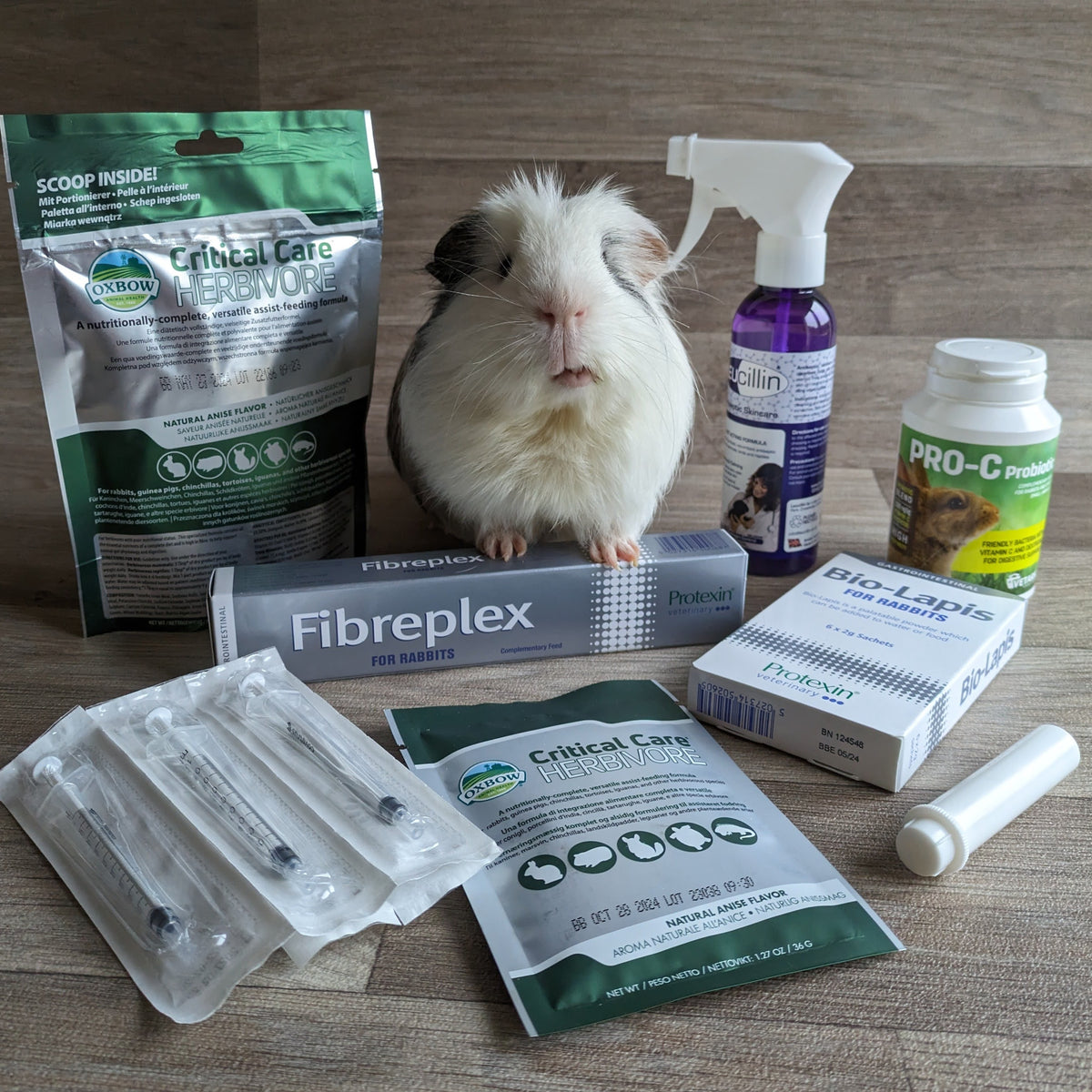 1ml syringes for syringe feeding Pack of 5x Everything Guinea Pig