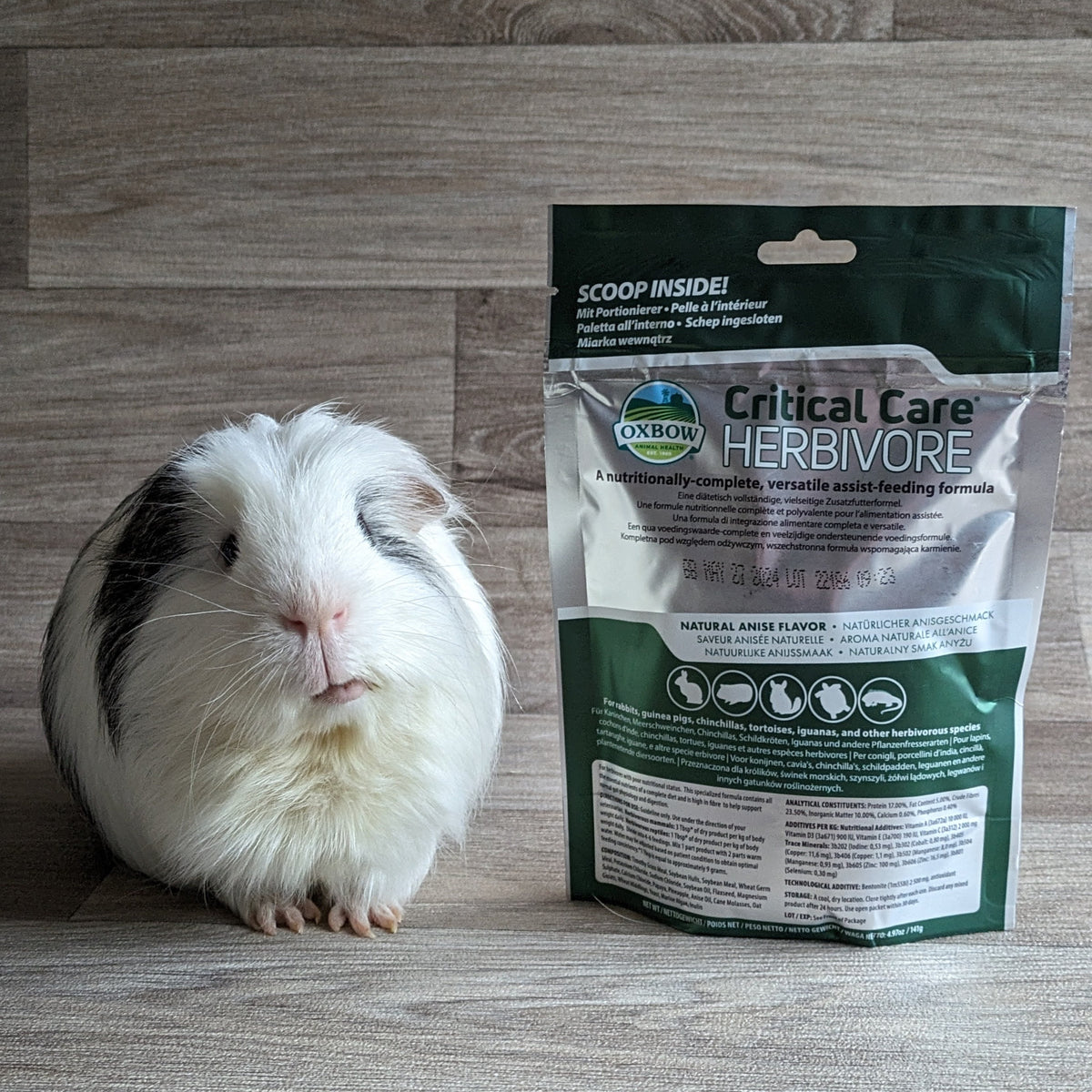 Oxbow Critical Care Feed for Herbivores 141g – Everything Guinea Pig