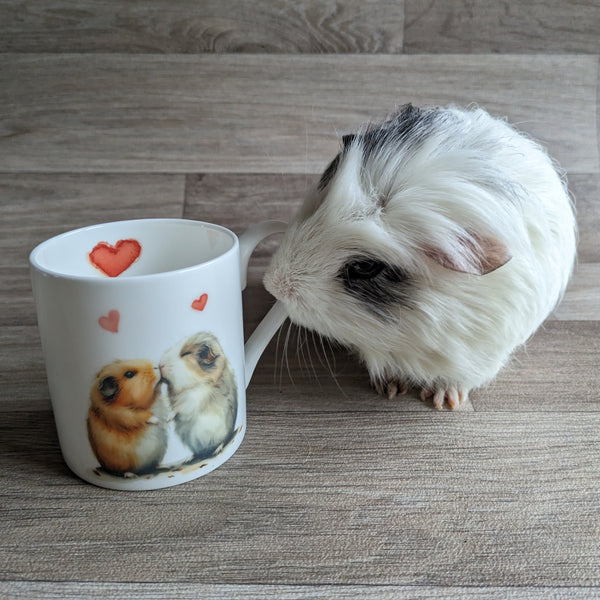 Guinea Pig Mug