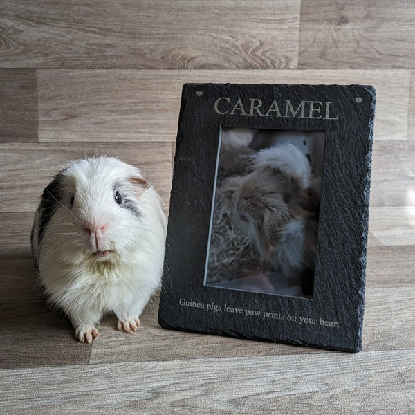 Personalised Guinea Pig Photo Frame