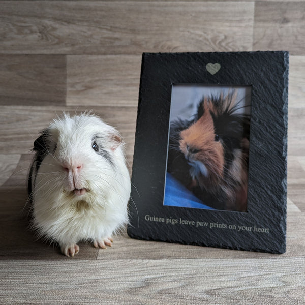 Guinea Pig Photo Frame