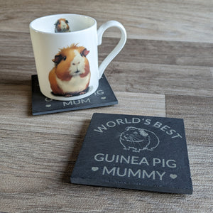 Guinea Pig Mummy Slate Coaster