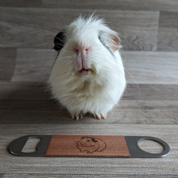 Guinea Pig Bottle Opener / Bar Blade