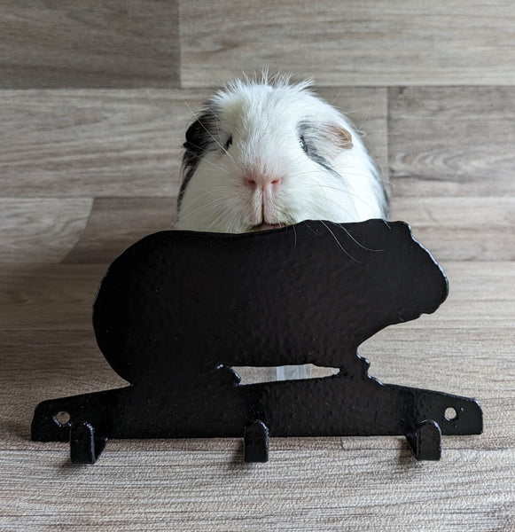 Guinea Pig Key Hook (Metal)