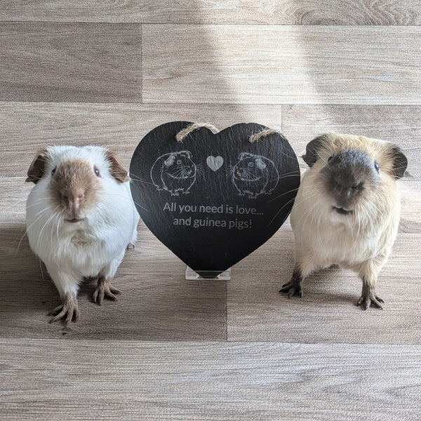 Slate Heart Decoration (All you need is love...and guinea pigs!)