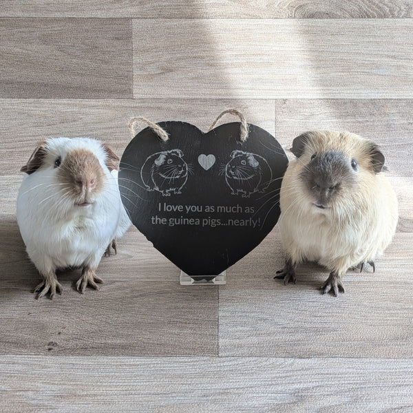Slate Heart Decoration (I love you as much as the guinea pigs...nearly!)