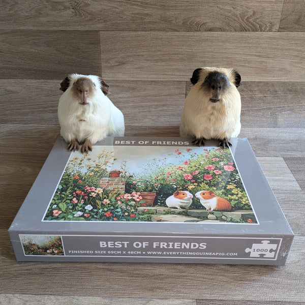Guinea Pig Jigsaw Puzzle 1000 piece - Best of Friends