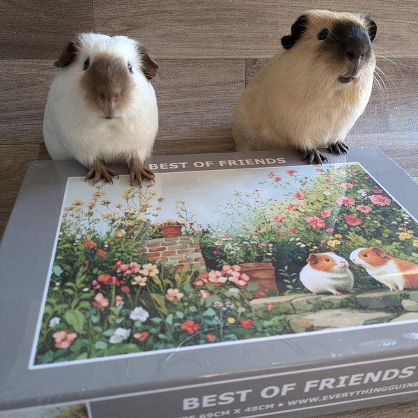 Guinea Pig Jigsaw Puzzle 1000 piece - Best of Friends