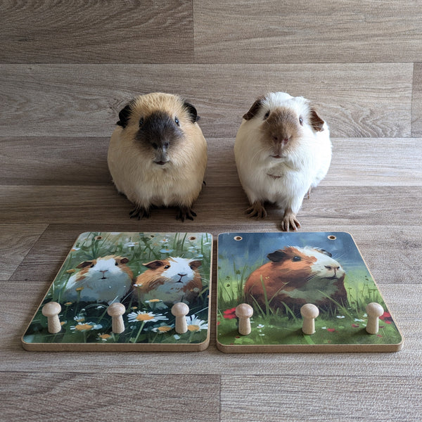 Wooden Peg Hooks (Daisies)