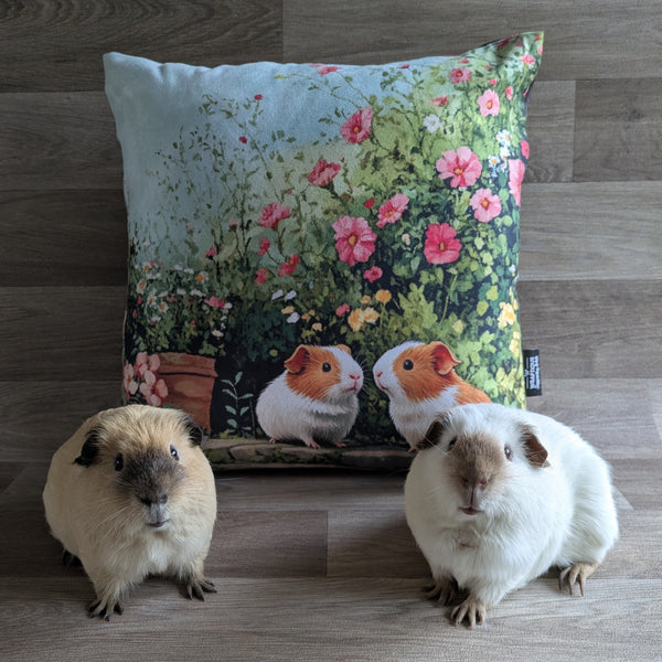 Guinea Pig Cushion (Best of Friends)