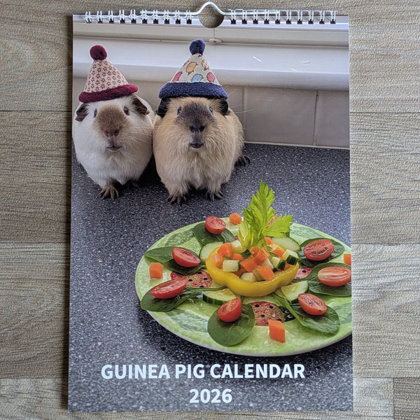 Guinea Pig Calendar 2026