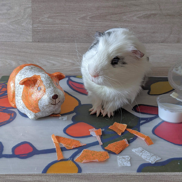 Decopatch a Ceramic Guinea Pig Craft Kit (Ginger & White)