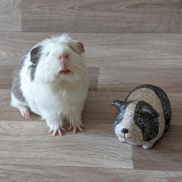 Decopatch a Ceramic Guinea Pig Craft Kit (Black & White)