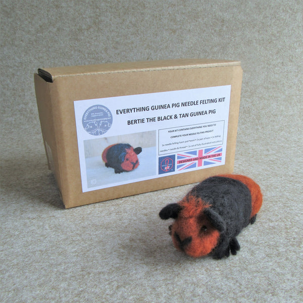 Guinea Pig Needle Felting Craft Kit - Bertie Black & Tan