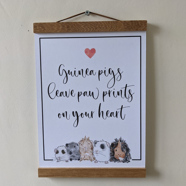 Guinea Pig Poster Print - Paw prints