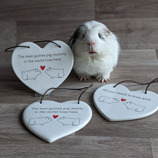Hanging Ceramic Guinea Pig Heart - 'The best guinea pig daddy in the world lives here.'
