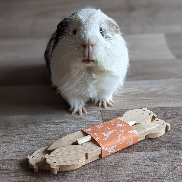 Wooden Guinea Pig Plant Markers - Pack of 4