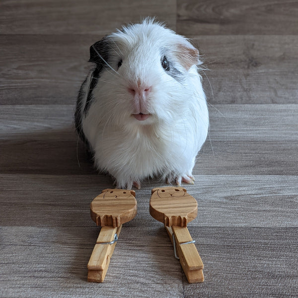 Oak Guinea Pig Welly Clips (Set of 2)