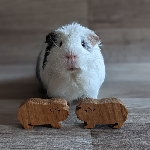 Oak Guinea Pig Cane Toppers (Set of 2)