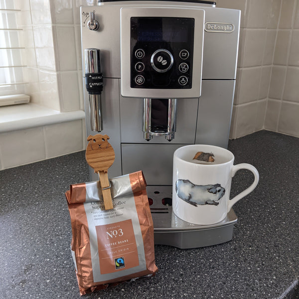 Oak Guinea Pig Kitchen Clips (Set of 2)