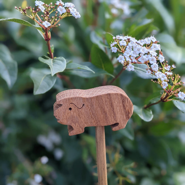 Oak Guinea Pig Cane Toppers (Set of 2)