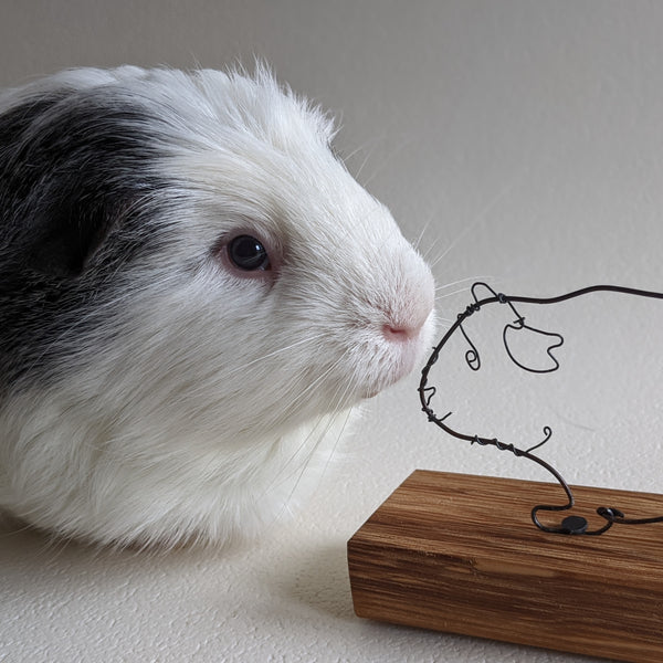 Wire Art Guinea Pig Sculpture