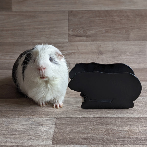 Guinea Pig Letter Rack