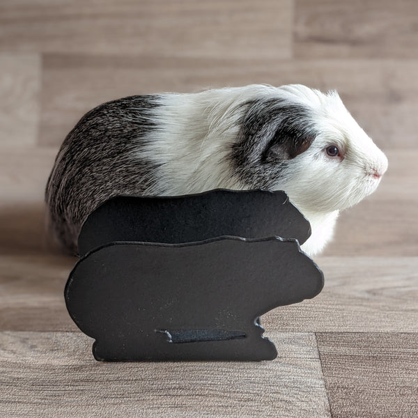 Guinea Pig Letter Rack