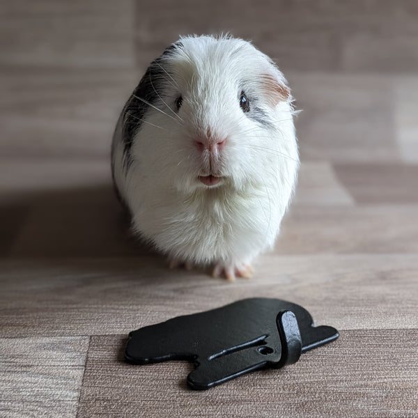 Guinea Pig Hook