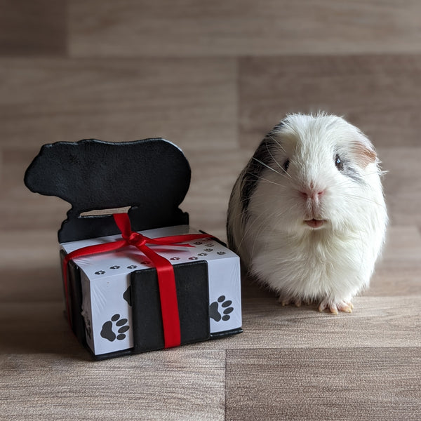 Guinea Pig Note Block Holder