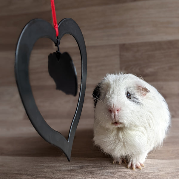 Hanging Guinea Pig Heart Decoration (Outdoor/Indoor)