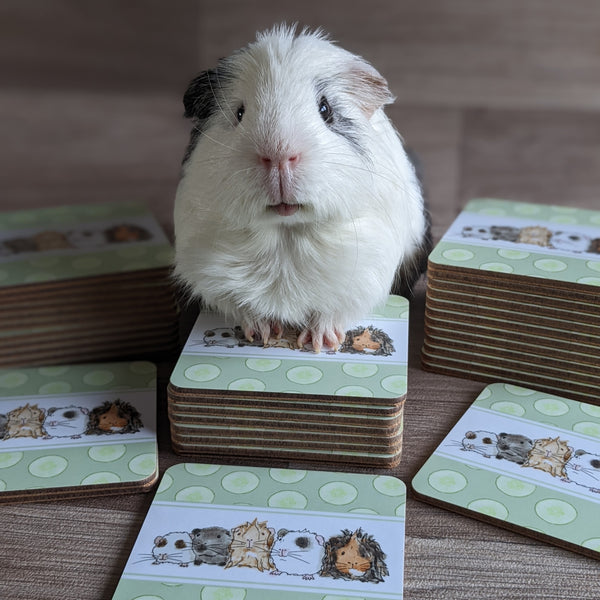 Guinea Pig Coaster