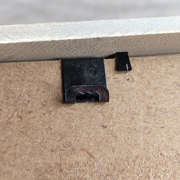 Guinea Pig Pebble Art Box Frame (Green)