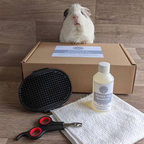 Guinea Pig Grooming Kit