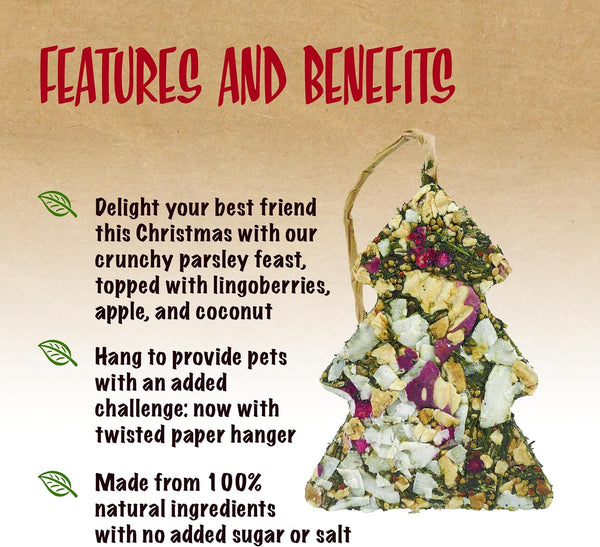 Rosewood Naturals Festive Fruit Tree Guinea Pig Treat