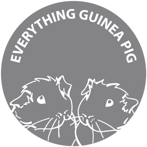 Everything Guinea Pig
