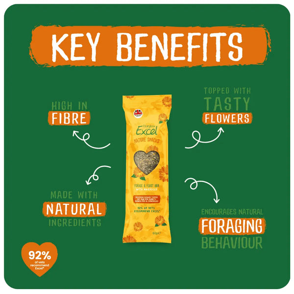 Burgess Excel Nature Snacks Forage & Feast Bar with Marigold treat for guinea pigs