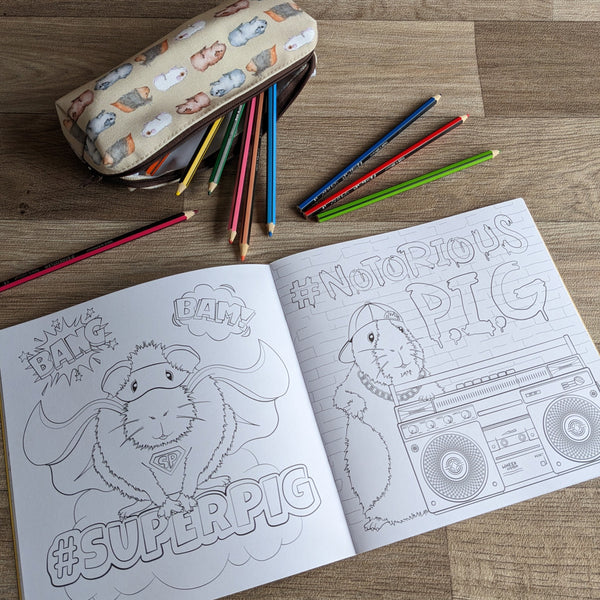 Guinea Pig Colouring Book