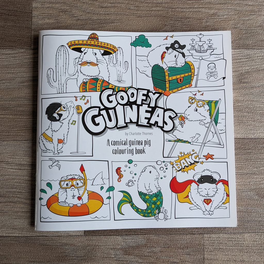 Guinea Pig Colouring Book – Everything Guinea Pig