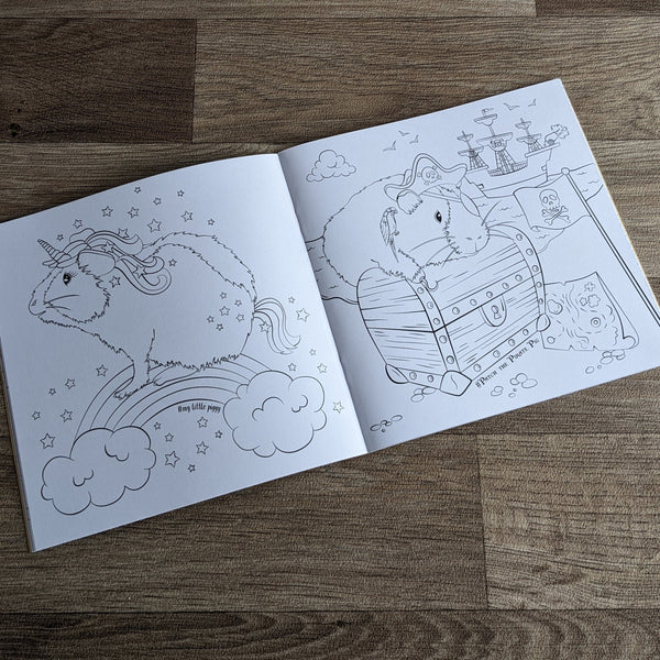Guinea Pig Colouring Book