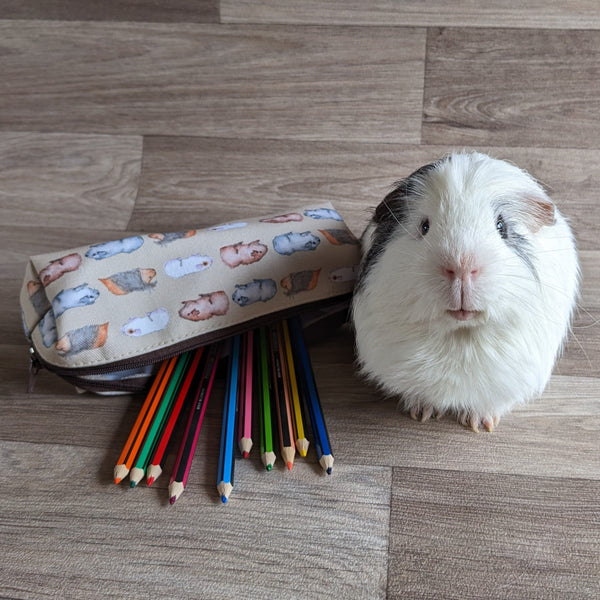 Guinea Pig Pencil Case - Water Colour Guinea Pig Design