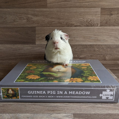 Guinea Pig Jigsaw Puzzle 1000 piece - Guinea Pig in a Meadow