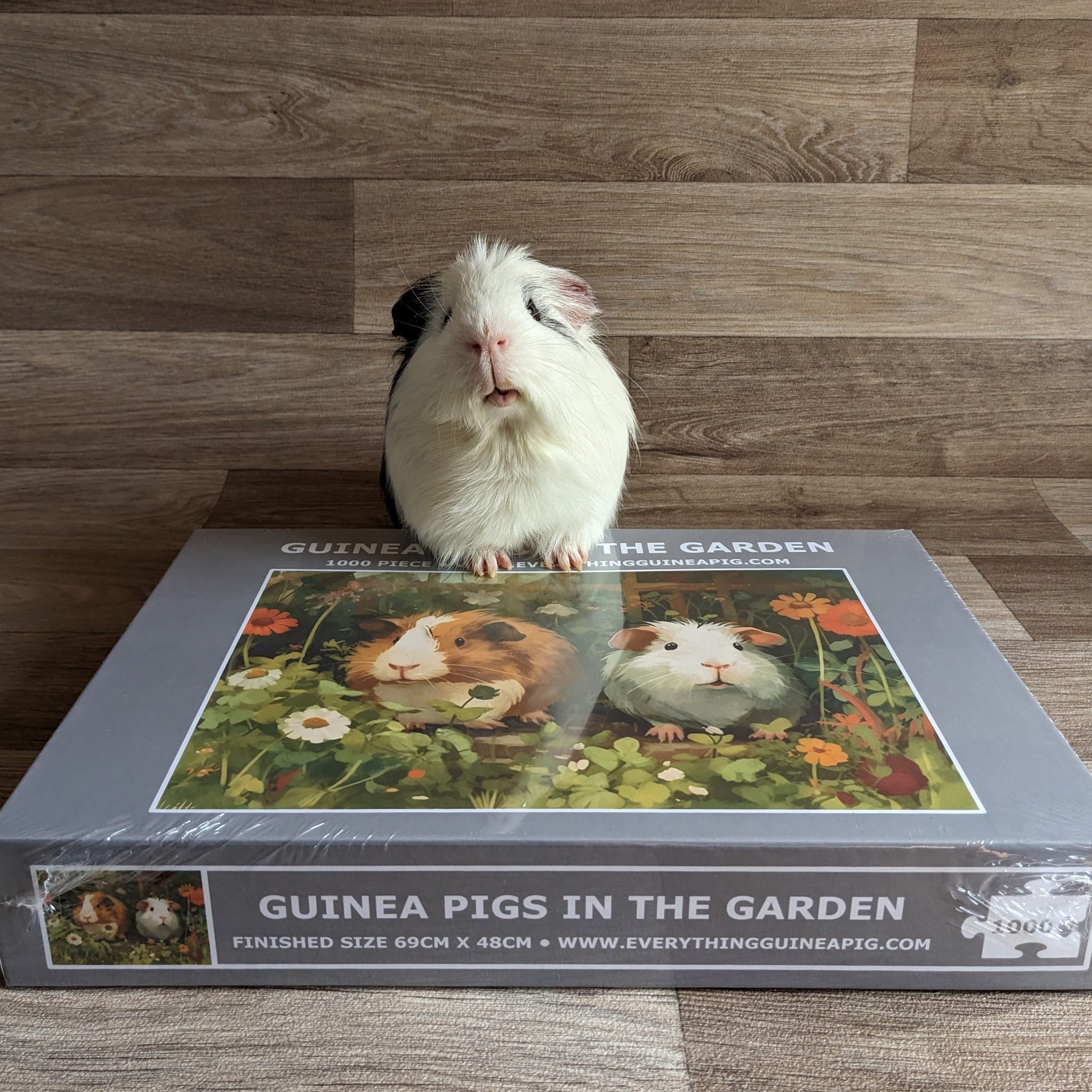 Guinea Pig Jigsaw Puzzle 1000 piece - Guinea Pigs in the Garden