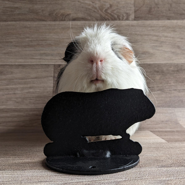 Guinea Pig Post Topper