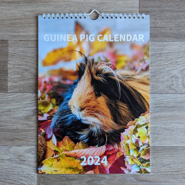 Guinea Pig Calendar 2024