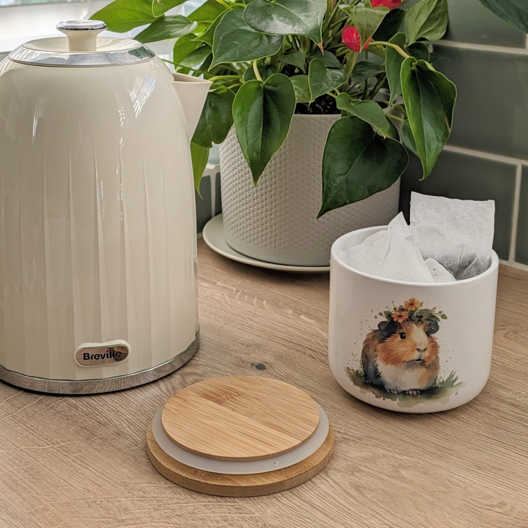 Guinea Pig Storage Jar (Floral)